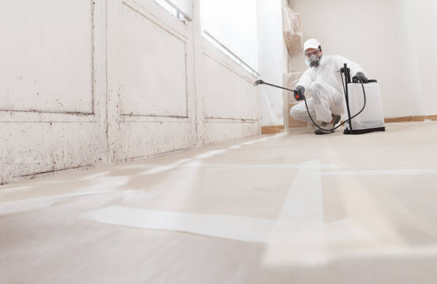 24/7 Emergency Mold Remediation experts in Natick, MA